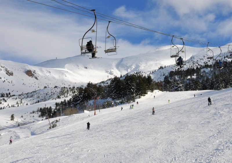 Brezovica